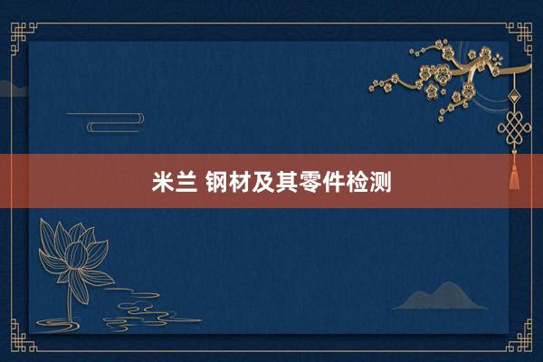 米兰 钢材及其零件检测