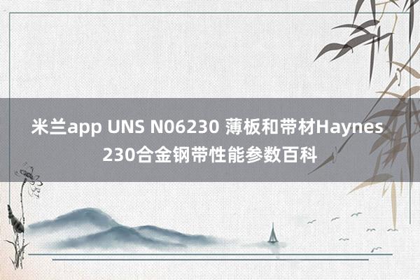米兰app UNS N06230 薄板和带材Haynes 230合金钢带性能参数百科