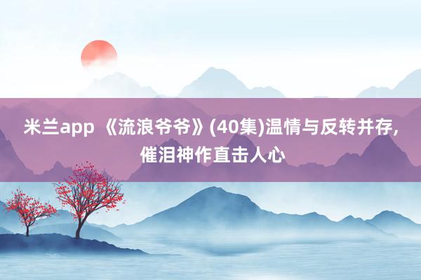 米兰app 《流浪爷爷》(40集)温情与反转并存, 催泪神作直击人心
