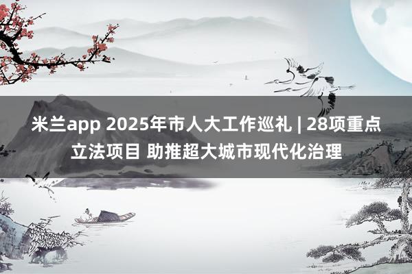 米兰app 2025年市人大工作巡礼 | 28项重点立法项目 助推超大城市现代化治理