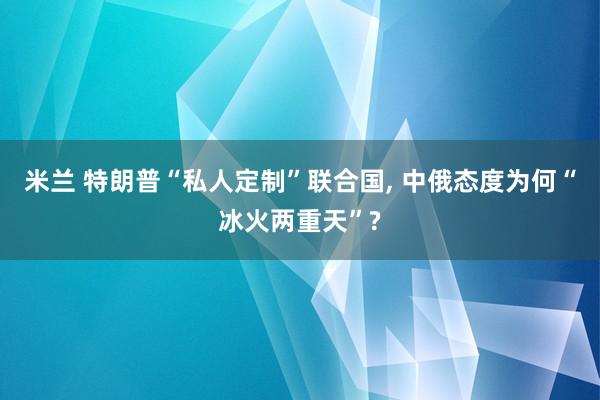 米兰 特朗普“私人定制”联合国, 中俄态度为何“冰火两重天”?