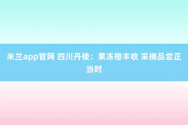 米兰app官网 四川丹棱：果冻橙丰收 采摘品尝正当时